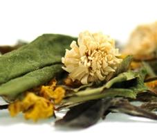 Spirulina - Superfruit te